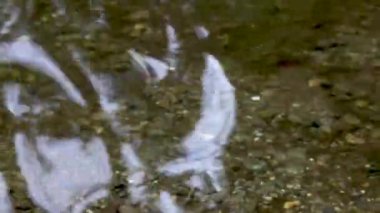 Gökyüzünü yansıtan kayalarda sallanan berrak su