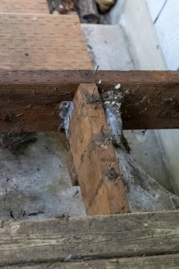 Tahta çerçeveye yapışan eski beyaz örümcek ağları