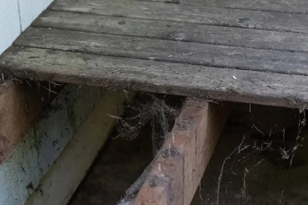 Thick gross cobwebs under floor boards of porch Royalty Free Stock Photos