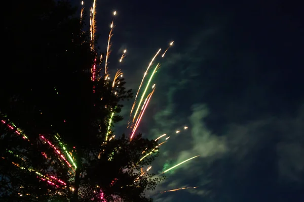 Colorful explosion of fireworks near tree and forest — Stock Photo, Image