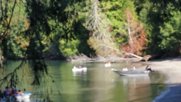 Port flou avec petits bateaux — Video