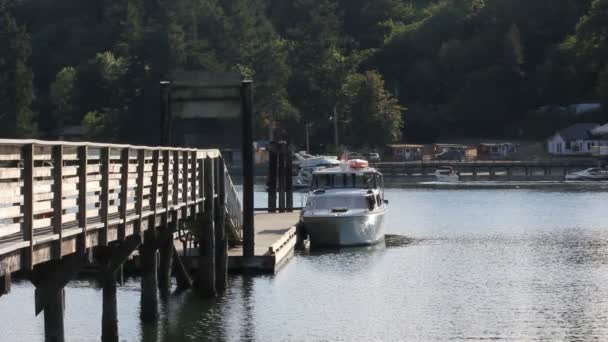 Evening dock with boats — Stock Video