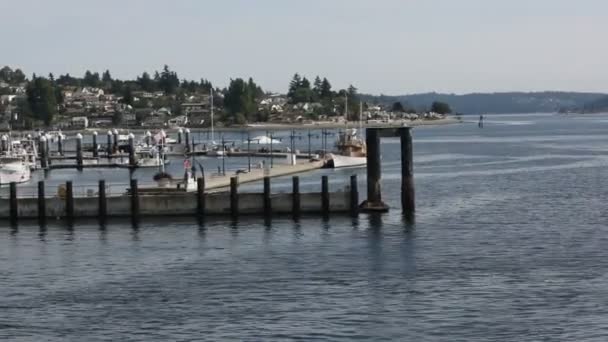 Residential hill behind harbor — Stock Video