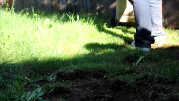 Slow Motion feet mowing the lawn — Stock Video