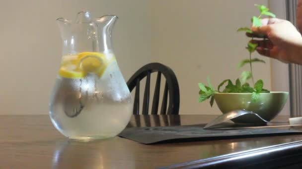 Нарезка мяты для лимонной воды — стоковое видео