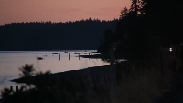岸の草の上車のライト — ストック動画