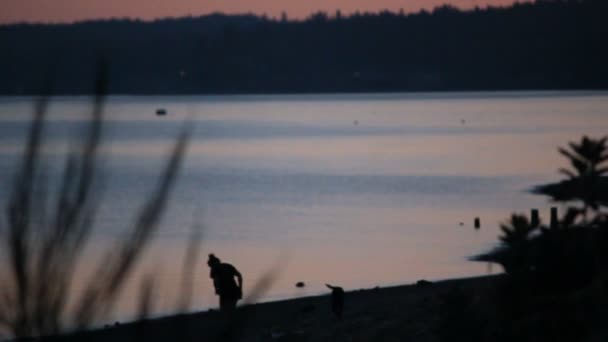 Kobieta i pies silouette na brzegu — Wideo stockowe