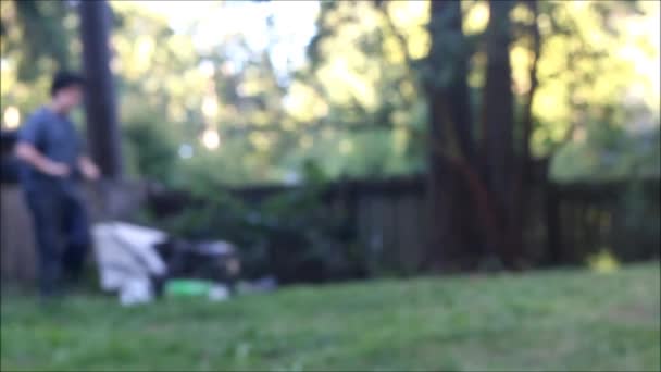 Slow motion mowing at sunset — Stock Video