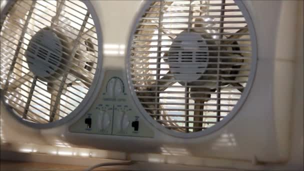 Girls hand turns fan on then off again — Stock Footage Girls hand turns fan on then off again Royalty Free Stock Video