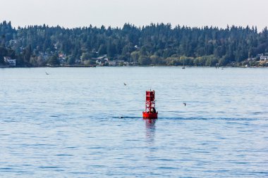 forest yakınındaki su kırmızı şamandıra