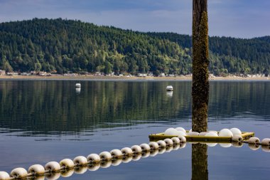 Yüzmek plajda güneş ışığı