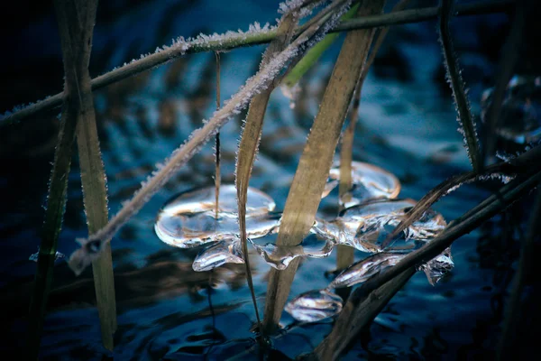 冰冻的水泡冷冻固体 — 图库照片