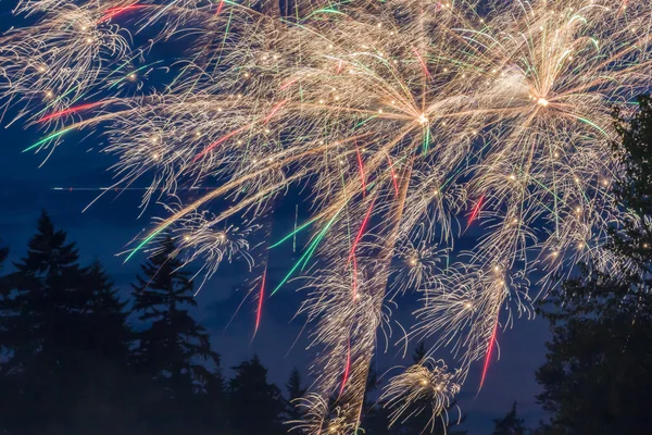 Gold, red, and green firework — Stock Photo, Image