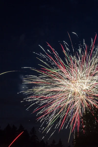 Feu d'artifice rouge blanc et bleu — Photo