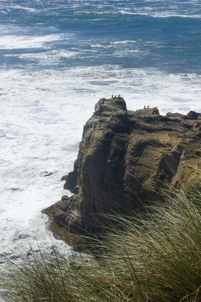 Rochosa afloramento em Oregon — Fotografia de Stock