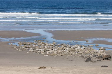 Oregon Sahili 'nde Sakin Yaz Okyanusu Sahnesi. Yüksek kalite fotoğraf