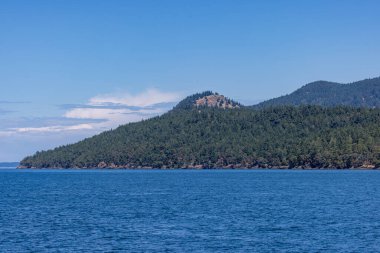 Blue Coastal Waters 'ın üzerindeki Ormanlı Ada Sırtı. Yüksek kalite fotoğraf