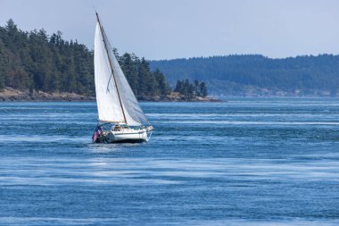 Orman kıyısı yakınlarındaki gelgit sularından dönen yelkenli. Yüksek kalite fotoğraf