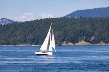 Orman Adası 'ndan önce Mavi Suda süzülen beyaz yelkenli. Yüksek kalite fotoğraf