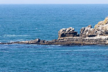 Okyanus dalgaları Rocky Reef 'e çarpıyor. Yüksek kalite fotoğraf