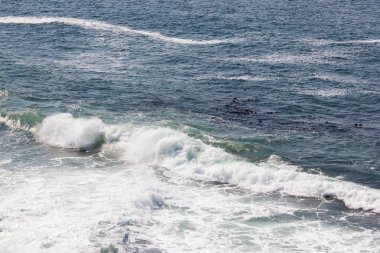 Güneşli bir günde dalgalı sörf ve okyanus dalgaları. Yüksek kalite fotoğraf
