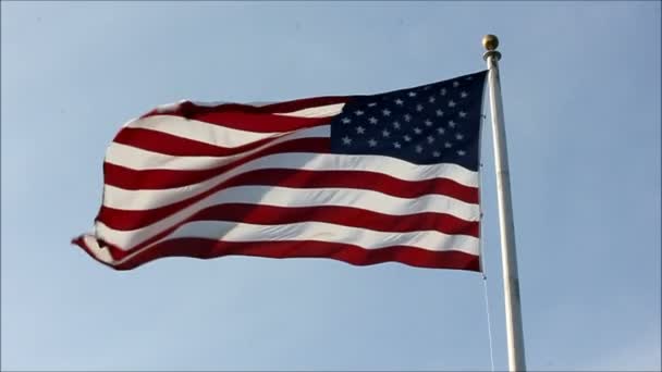 Fél sebességgel zászlót lengetve — Stock videók