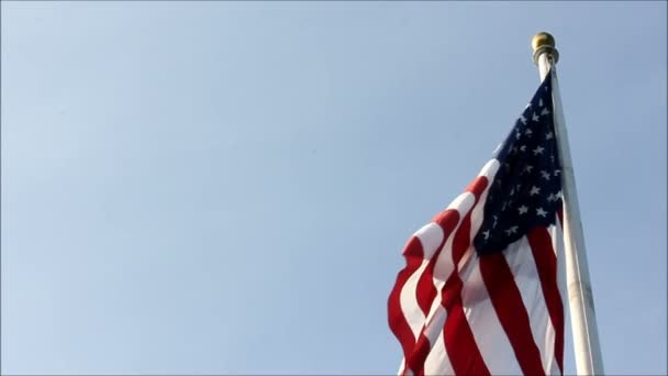 Bandera de media velocidad ondeando en el viento — Vídeo de stock