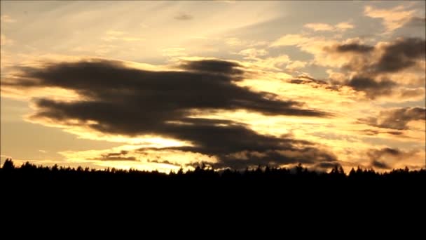 Puesta de sol dorada con nubes moviéndose a través del cielo — Vídeo de stock