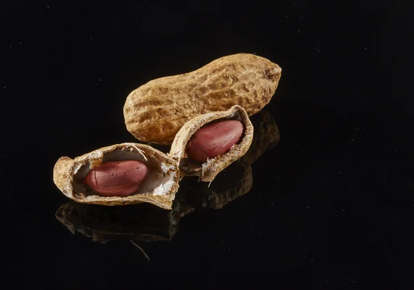 siyah arka plan üzerine izole fındık