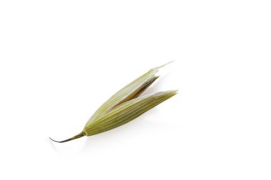 yulaf, izole yulaf bitki