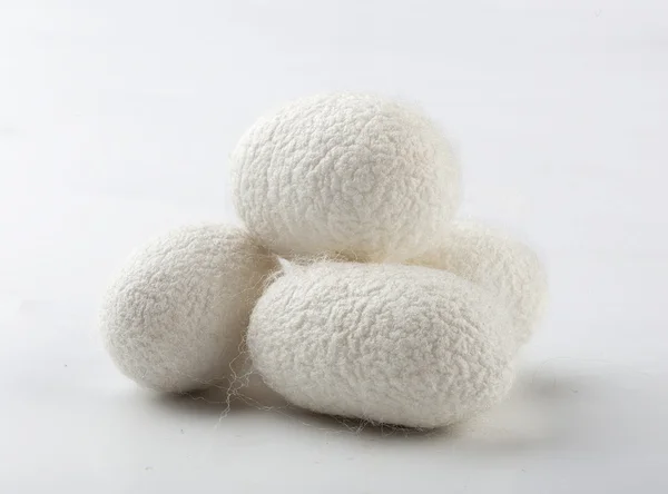 Silkworm cocoons on white the  background — Stock Photo, Image