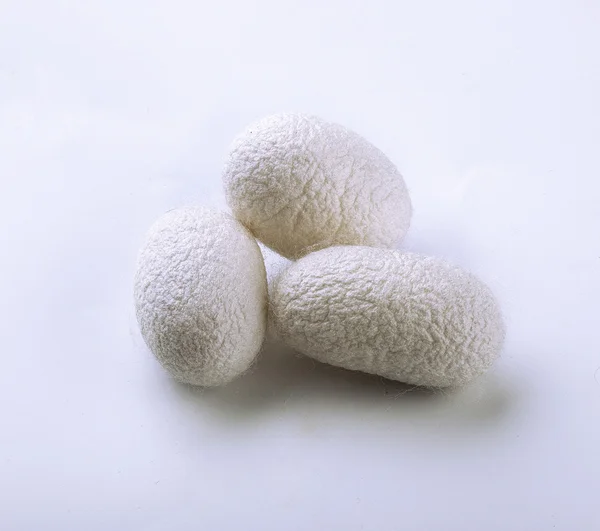 İpekböceği beyaz arka plan cocoons.