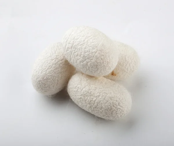 İpekböceği beyaz arka plan cocoons.