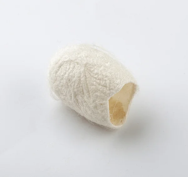 Casulos de bicho-da-seda em branco o fundo — Fotografia de Stock