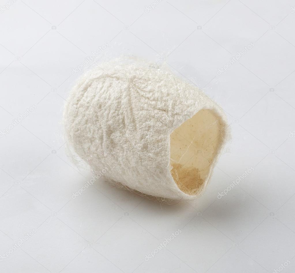 Silkworm cocoons on white the  background