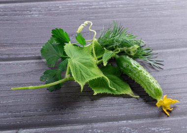 Taze taze salatalık yaprakları, taze taze salatalık (salatalık) salatalık çiçekleri koyu ahşap arka planda