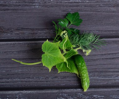 Taze taze salatalık yaprakları, taze taze salatalık (salatalık) salatalık çiçekleri koyu ahşap arka planda