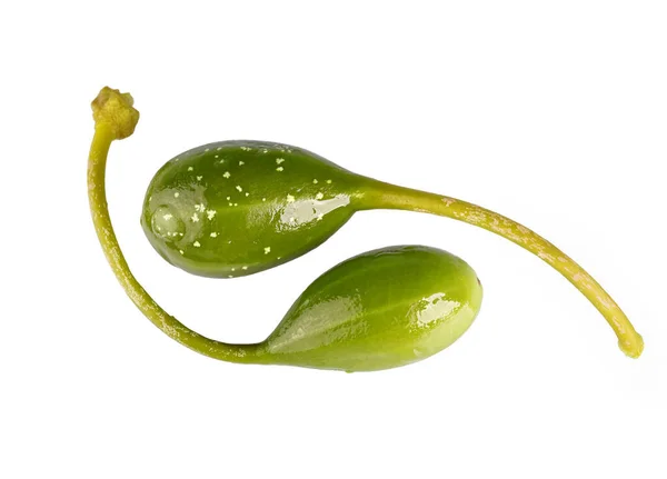 Sapı olan genç kapariler, beyaz bir arka planda izole edilmiş. makro fotoğrafçılık