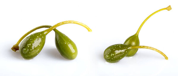 Young capers with a stalk, isolated on a white background. macro photography