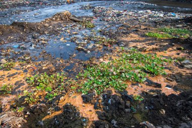 Nehirlerdeki, kirlilikteki ve çevredeki plastik atıklar