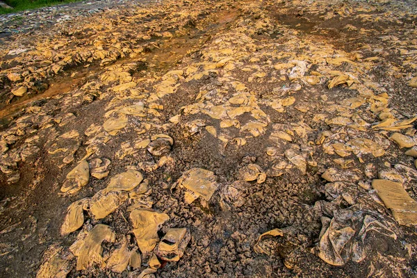 Les Déchets Plastiques Dans Les Rivières Pollution Environnement — Photo