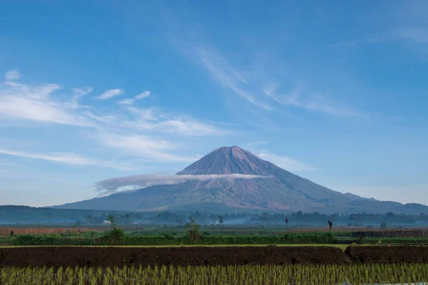 田んぼの山と空の背景 — ストック写真