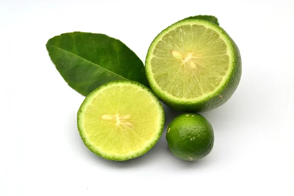 Lemon lime on white background — Stock Photo, Image