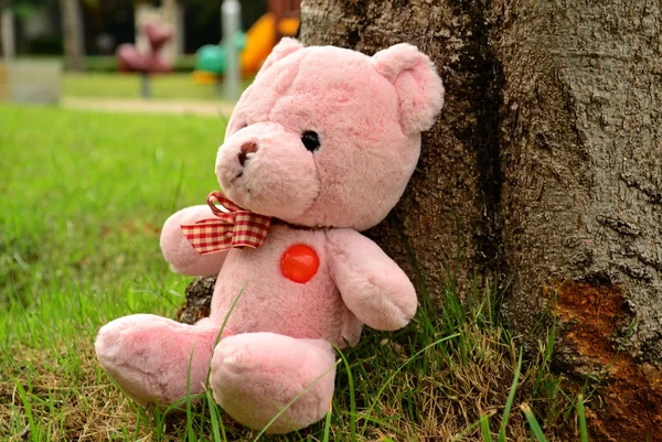 Bear doll feel lonely — Stock Photo, Image