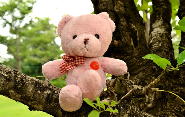 Urso boneca se sentir sozinho — Fotografia de Stock