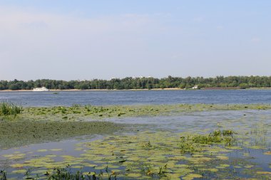 Kiev'de Dinyeper Nehri