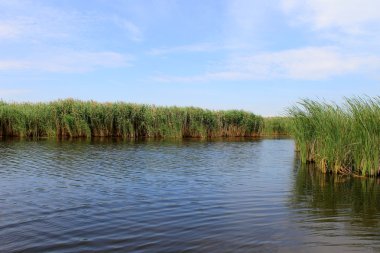 Nehir Saksagan Ukrayna