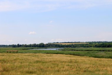 Nehir Saksagan Ukrayna