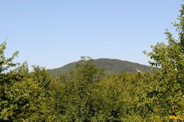 Yaz aylarında Kırım Dağları