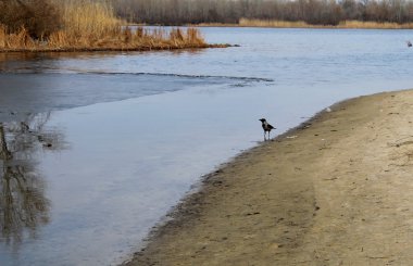 Karga Nehri yakınında